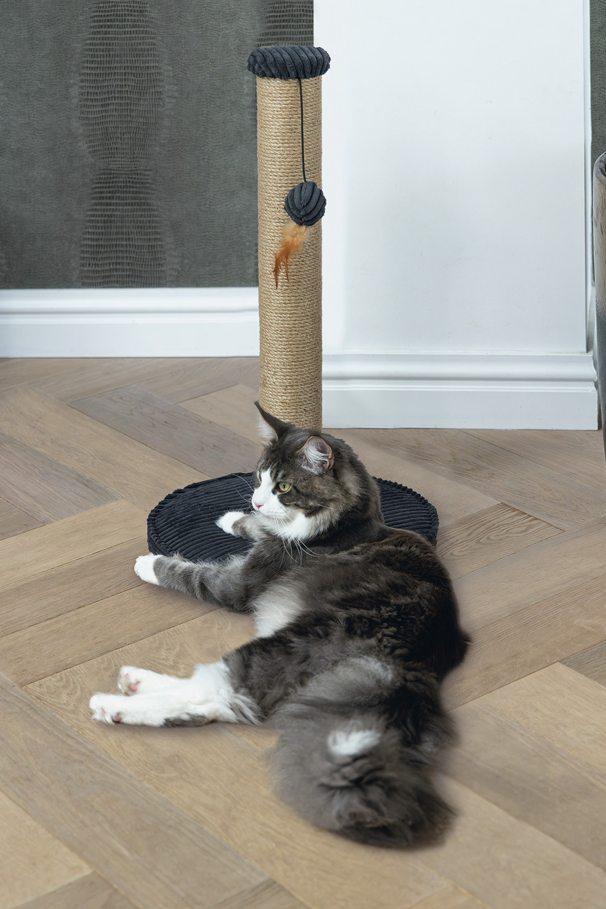 Kratzbaum „Designed by Lotte“ für Katzen, Sisalsäule, schwarze Basis, Spielball mit Feder, stabil, ideal für Spiel & Entspannung.