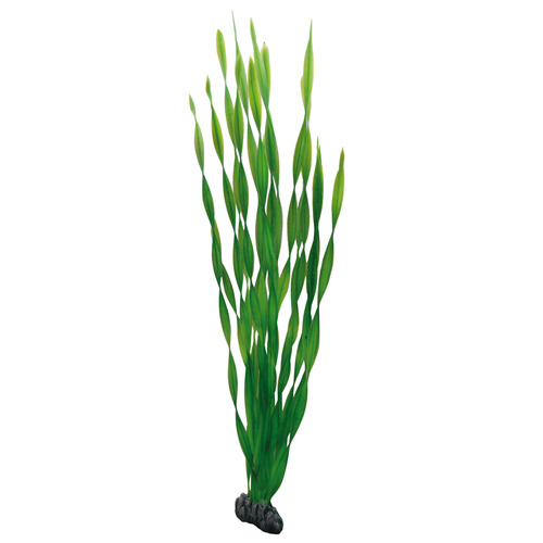 HOBBY künstl. Aquariumpflanze "Spirale", für Süß--Salzwasseraquarien, grün, dekorativ, Versteckmglk. für Fische, Höhe ca. 30 cm.
