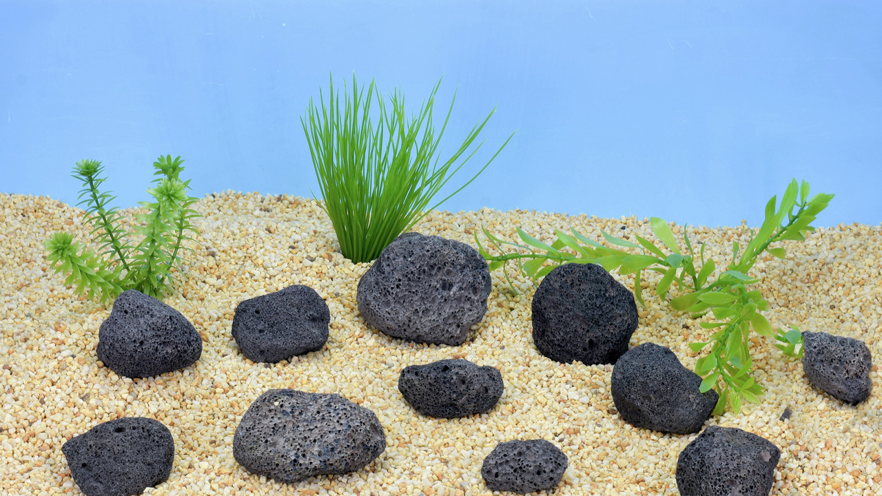 Colorstone Lavasteine, ideal für Aquarien, bieten Fischen Verstecke. Menge: mehrere Steine.