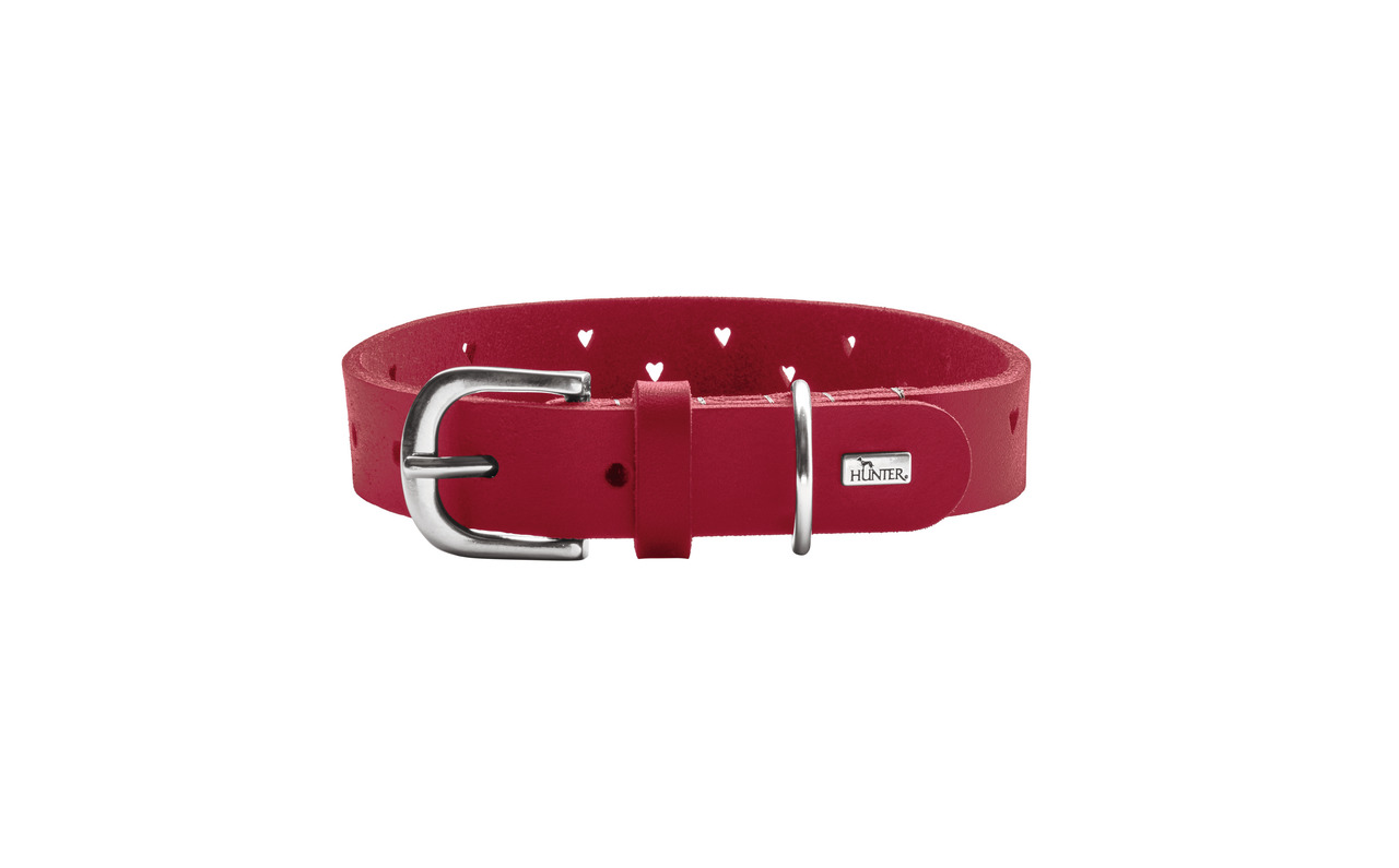 HUNTER Hundehalsband, Leder, Herz-Ausstanzungen, für alle Hunde, robust, komfortabel, mit Metallschnalle & Leinenring.