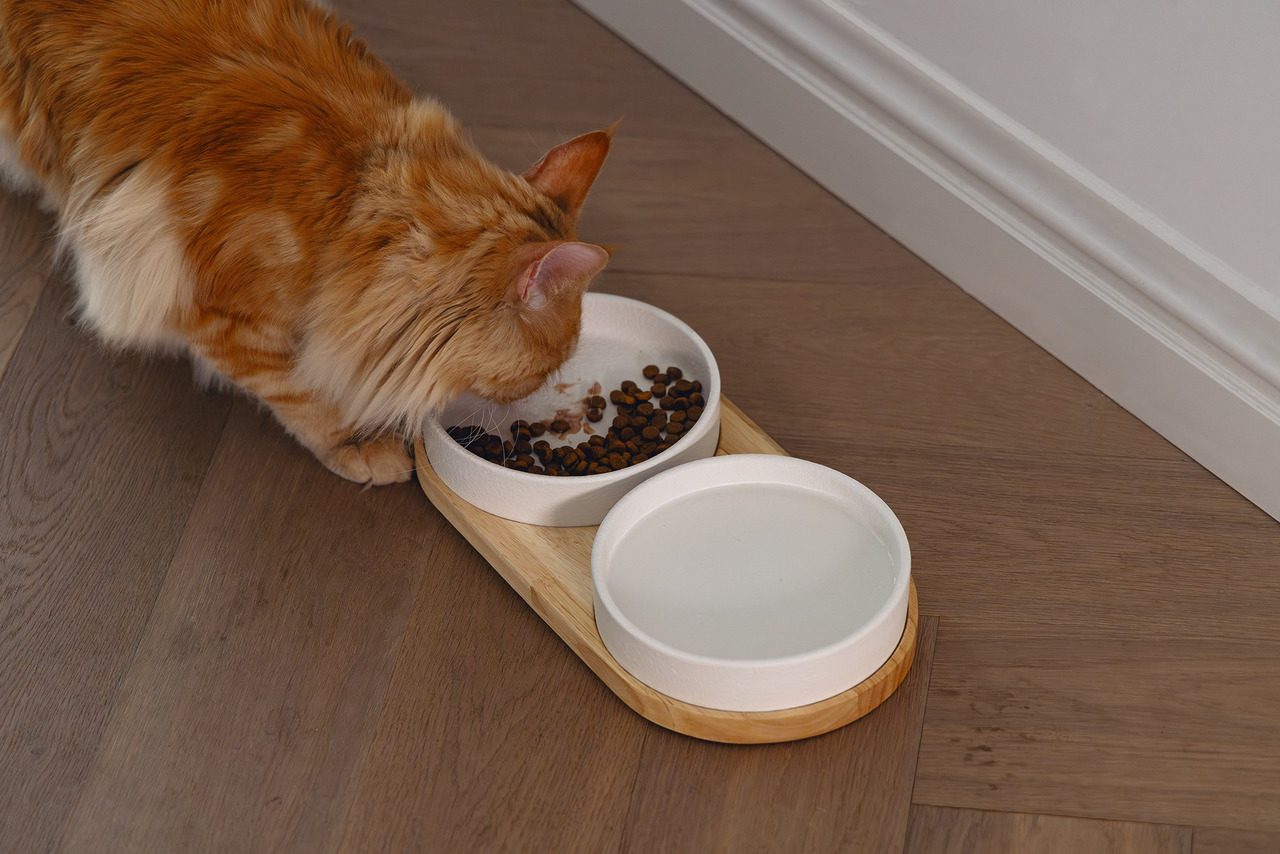 „Designed by Lotte“ Napfset: 2 Keramikschalen auf Holztablett, für Katzenhalter.