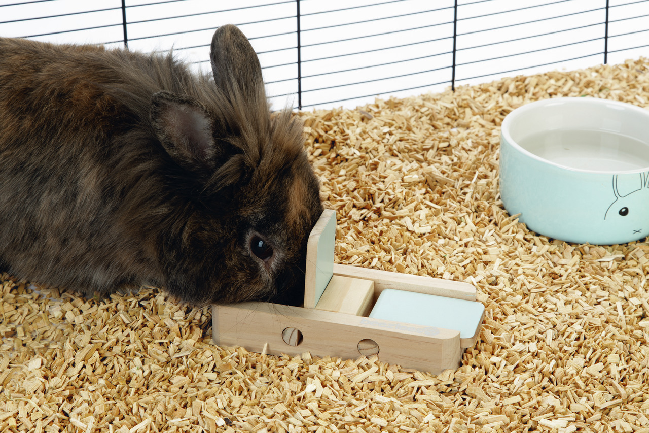 Beeztees Intelligenzspielzeug aus Holz, für Kaninchen, fördert geistige Aktivität, speziell für Kleintiere entwickelt.