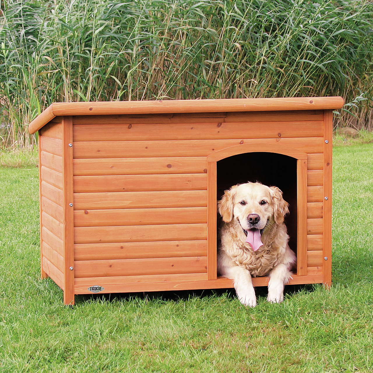 TRIXIE Hundehütte aus Holz, für Hunde, Schutz vor Witterung, schlichtes Design, auf grüner Wiese, großer Hund entspannt im Eingang.