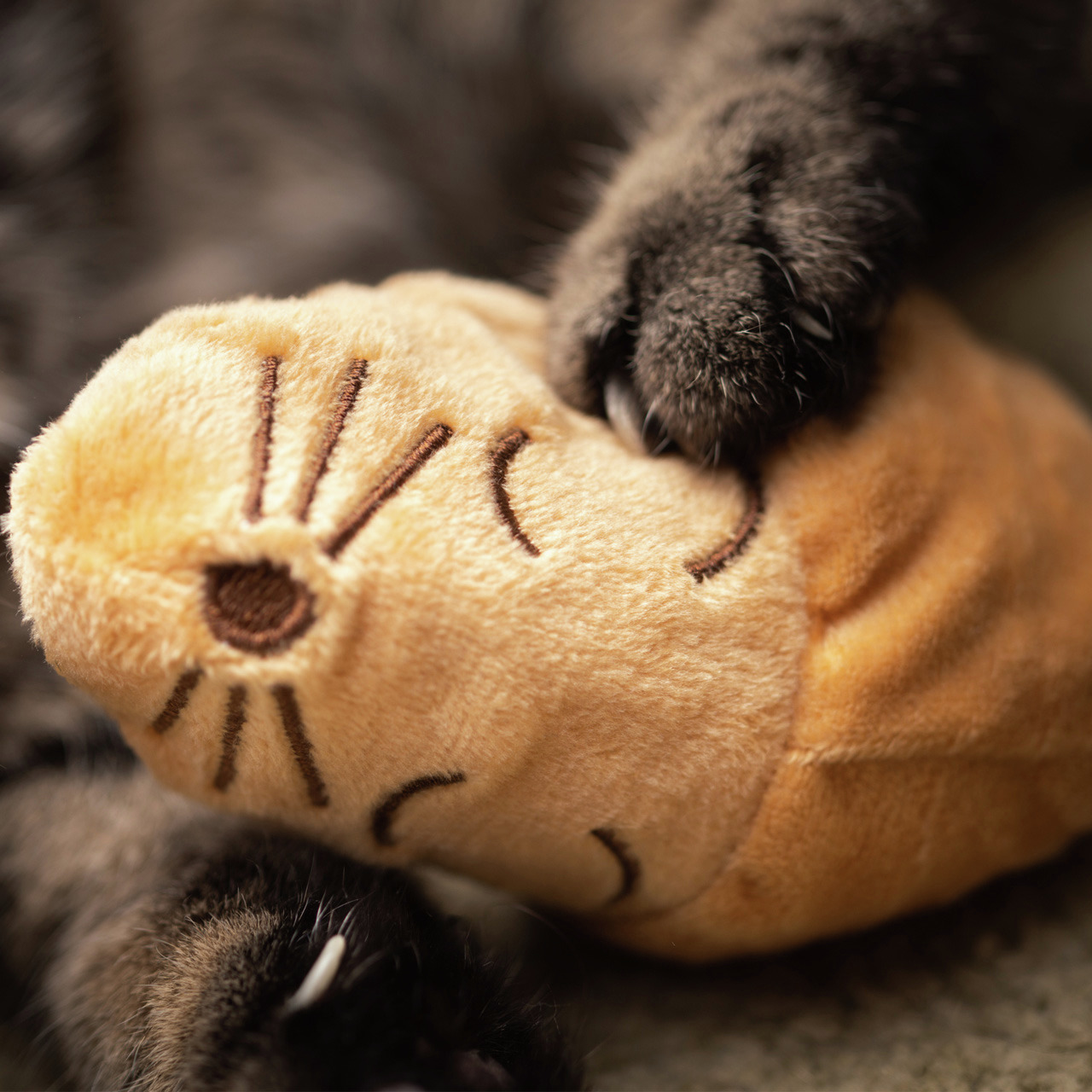 Allpets Katzenspielzeug Fisch, für Katzen, beige, mit gestickten Details, zur Unterhaltung-Beschäftigung.