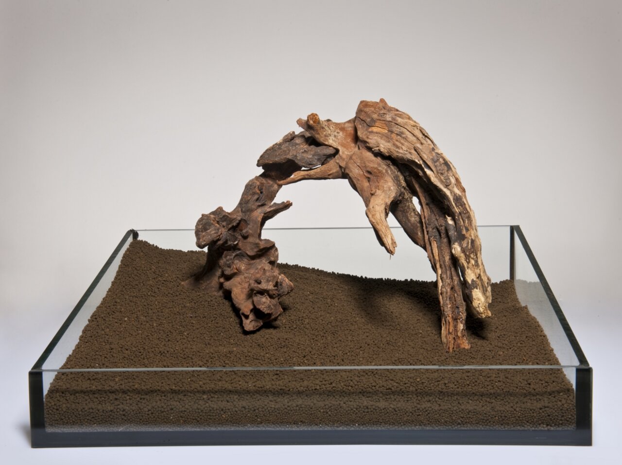 Dekoratives Aquadeco-Holz für Aquarien, platziert auf braunem Substrat in einem Glasaquarium. Perfekt für kreative Aquascaping-Ideen.