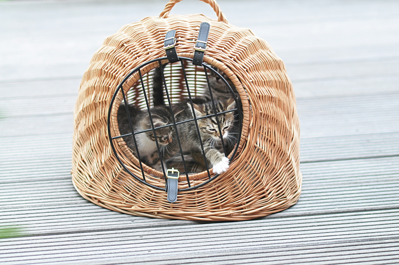 Aumüller Katzenkorb, Weide, für Katzen-kl. Haustiere, mit Griff & Metallgitter, ideal als Transportkorb-Rückzugsort.
