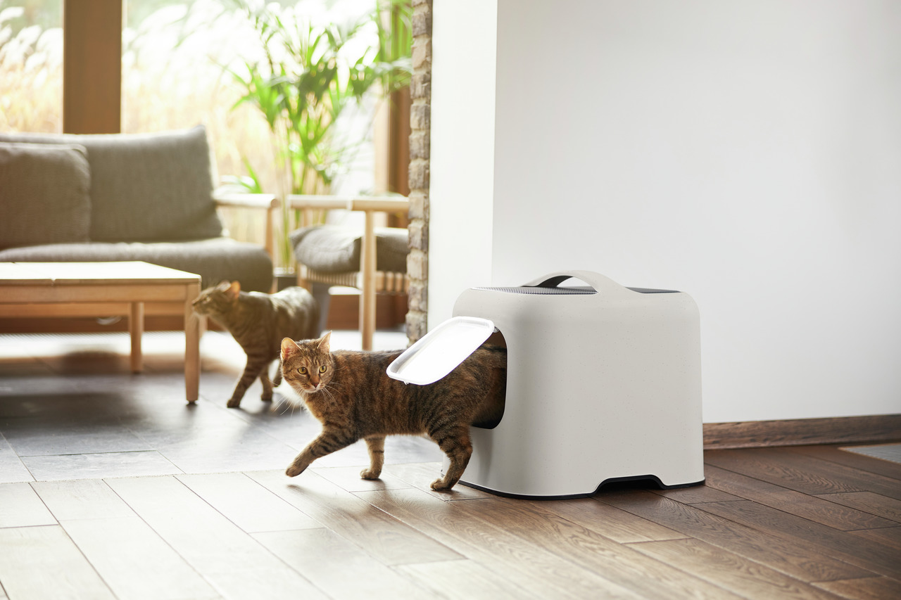 Rotho Katzentoilette, weiß, mit Tragegriff & seitl. Einstieg, für Katzen aller Altersgruppen, hygienisch & geruchsarm.