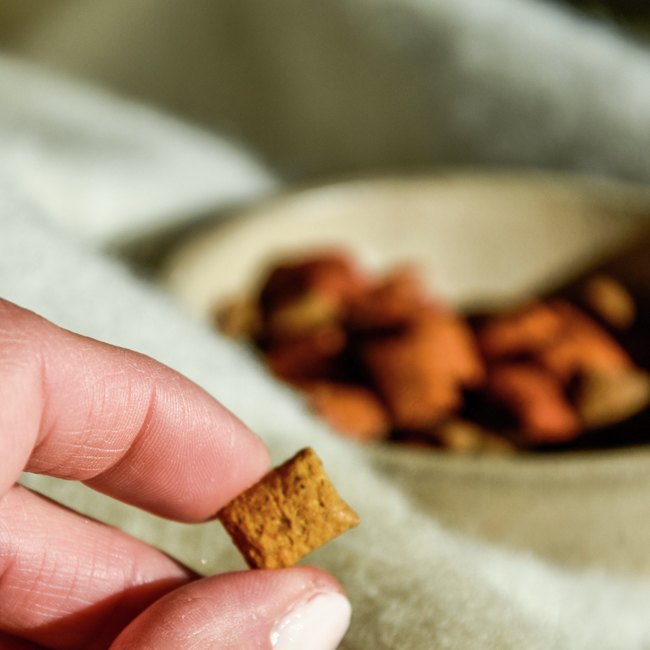 Nahaufnahme einer Hand, die ein einzelnes Stück GimCat Katzensnack hält. Im Hintergrund ist eine Schale mit weiteren Snacks zu sehen. Der Snack ist für Katzen geeignet, Geschmacksrichtung Huhn, und dient als Belohnung oder Ergänzung zur täglichen Ernährun