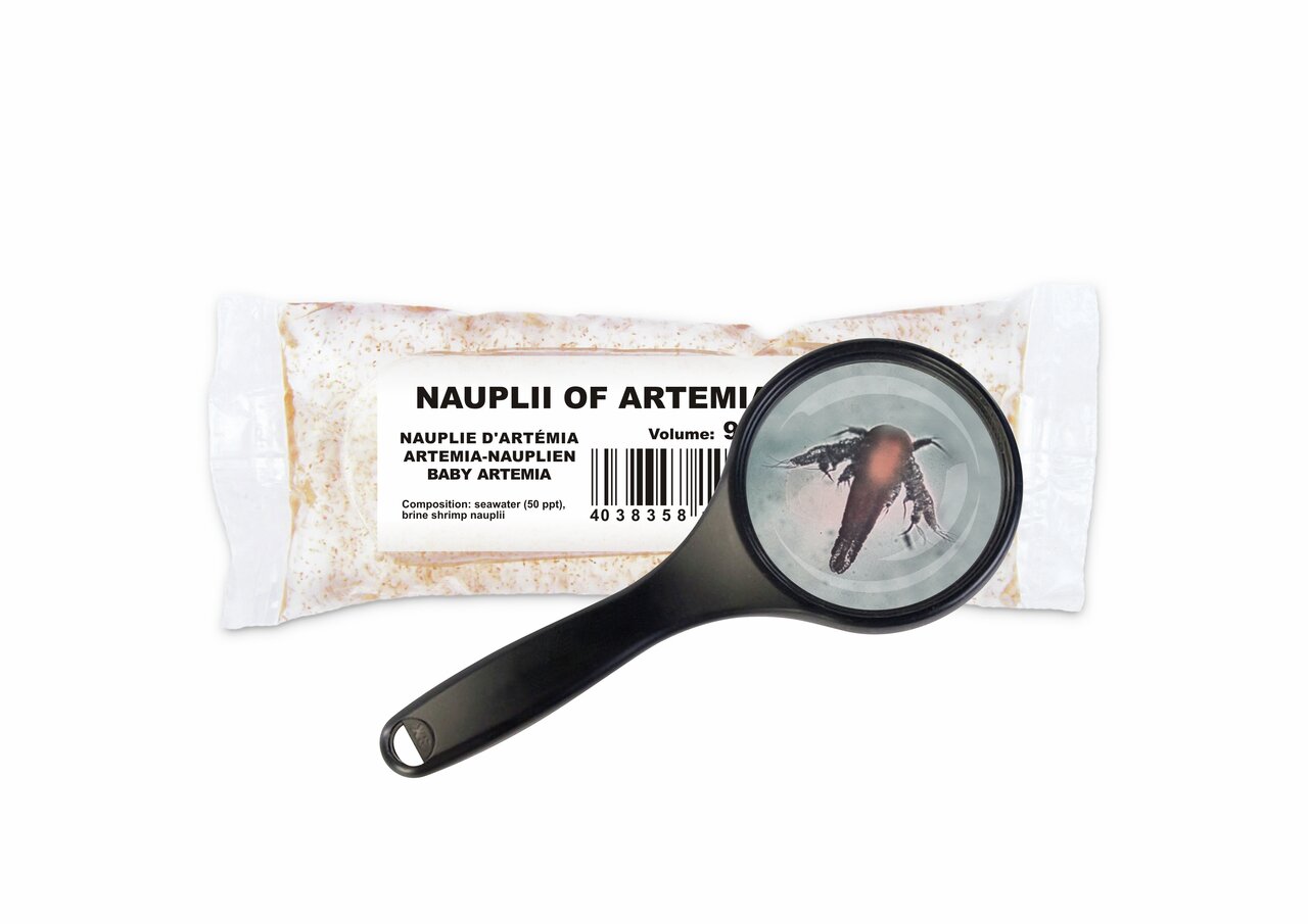 Gefriergetrocknete Artemia-Nauplien von Amtra, für Fischfutter, Geschmacksrichtung Meeresfrüchte, Inhalt: 90 ml, hochwertige Nährstoffe.