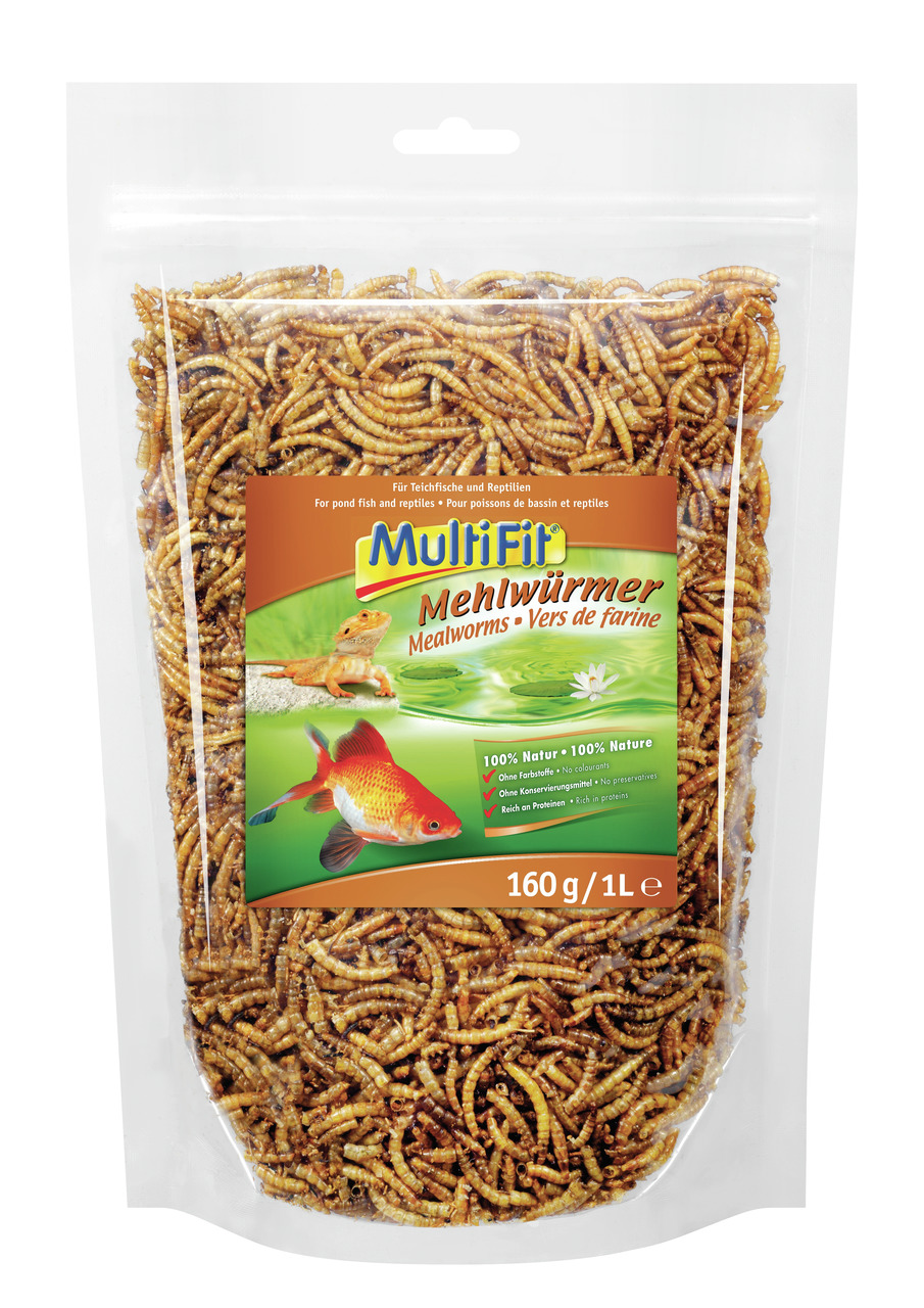 Das Bild zeigt eine transparente Verpackung der Marke MultiFit mit dem Produktnamen "Mehlwürmer". Zielgruppe sind Teichfische und Reptilien. Die Geschmacksrichtung ist naturbelassen. Die Verpackung enthält 160 g bzw. 1 Liter Mehlwürmer, die reich an Prote