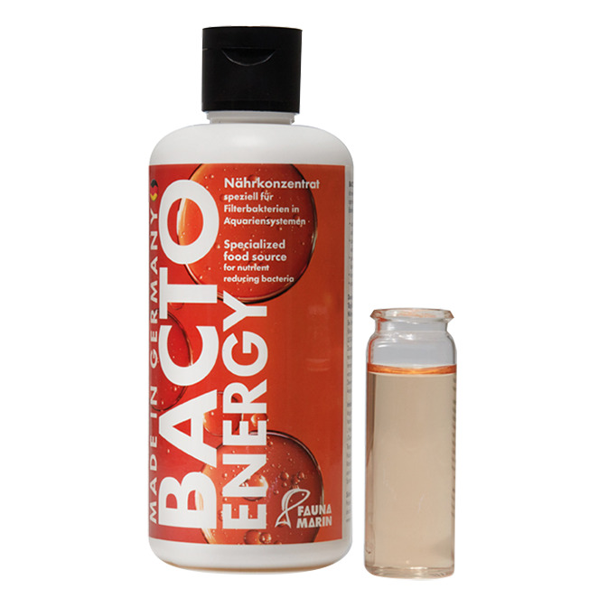 Fauna Marin Bacto Energy, Nährkonzentrat f. Filterbakterien, reduziert Nährstoffe, 250 ml, für Aquarien.