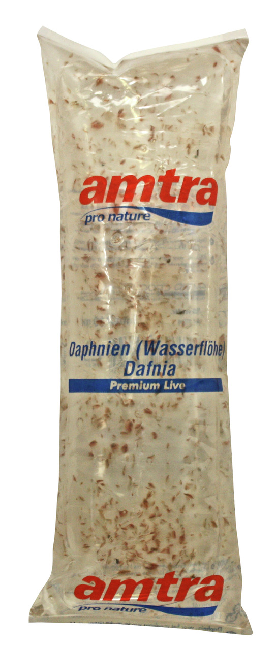 amtra Dafnia Premium Live: Lebende Wasserflöhe, hochwertiges Fischfutter für Aquarienfische, größere Menge in Flüssigkeit.