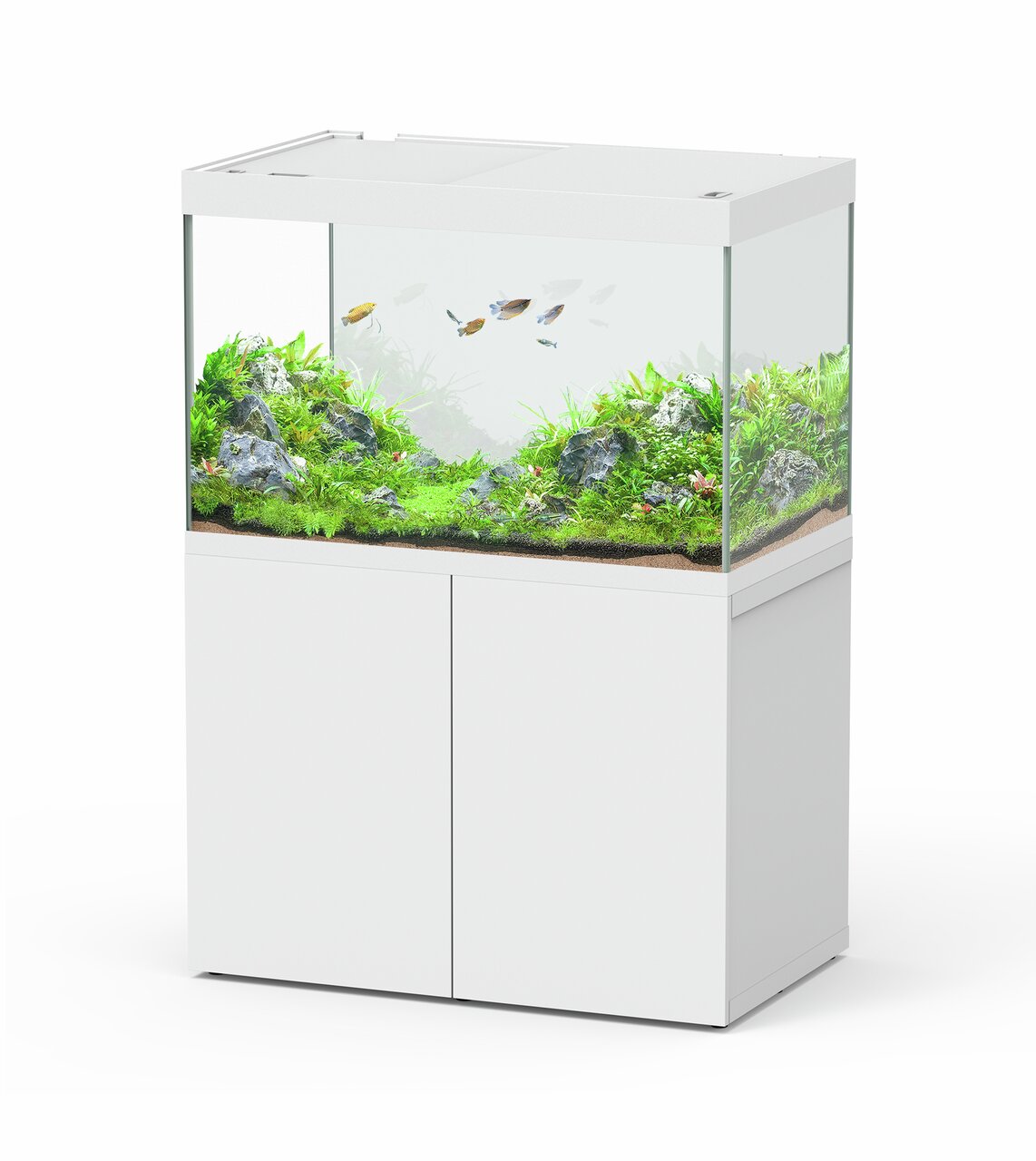 Das Bild zeigt ein modernes Aquarium der Marke ALOHA mit der EAN 4251127256597. Es ist auf einem weißen Unterschrank platziert und enthält eine üppige Unterwasserlandschaft mit grünen Pflanzen, Steinen und mehreren kleinen Zierfischen. Das Aquarium eignet