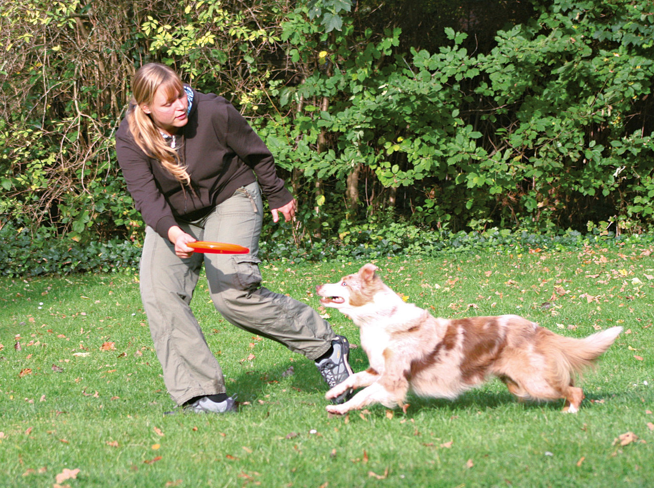 Trixie Dog Activity Dog Disc Hunde Spielzeug 23 cm