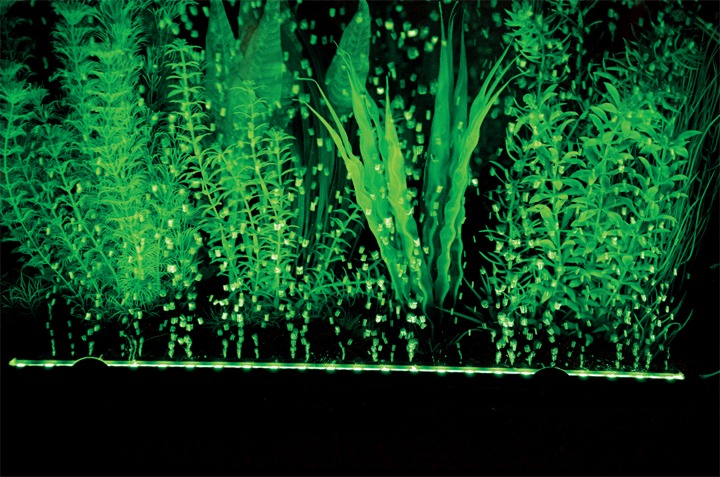 Das Bild zeigt das Produkt "Hobby Bubble Air LED", eine LED-Luftschlauchbeleuchtung für Aquarien. Zielgruppe sind Aquarienbesitzer, die eine stimmungsvolle Beleuchtung suchen. Die Beleuchtung erzeugt grüne Lichtakzente und Luftblasen, die das Pflanzenwach