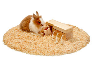 Karlie Futter- & Spielset aus Holz f. Kaninchen: Futterspender, Napf & Spielgerät m. Seilen, fördert Beschäftigung & Wohlbefinden.