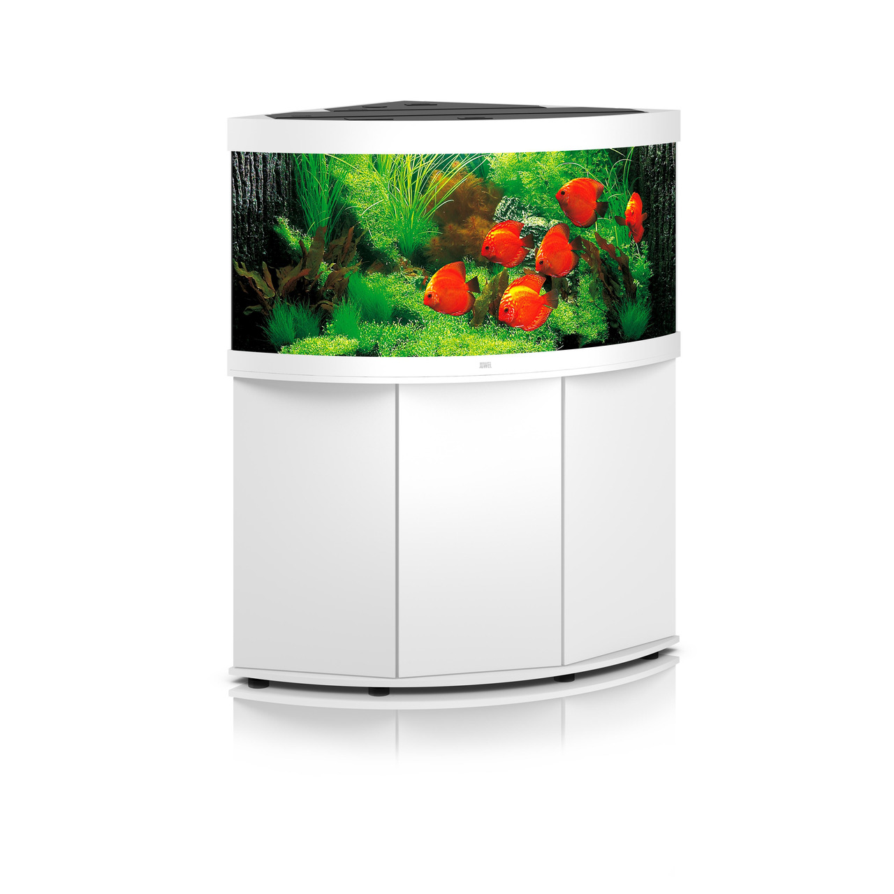 JUWEL Vision 260 LED Aquarium Weiß, für Süßwasserfische, 260 L, gebogenes Frontglas für Panoramaansicht, ideal für Aquaristik-Fans.