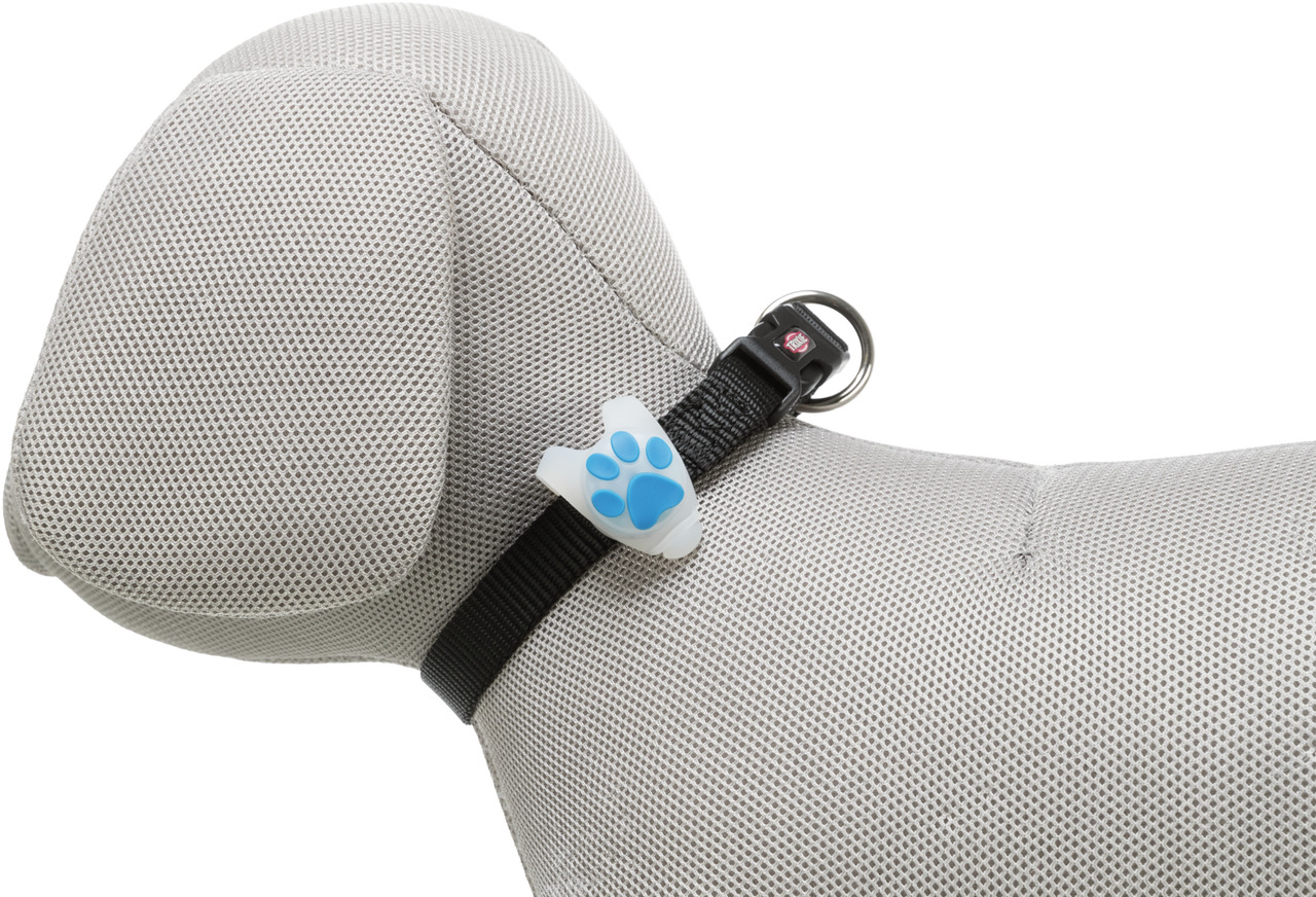TRIXIE Hundehalsband, schwarz, mit weißem Pfoten-Anhänger (blau Details) als Sicherheitslicht, für Hunde, erhöht Sichtbarkeit bei Dunkelheit.