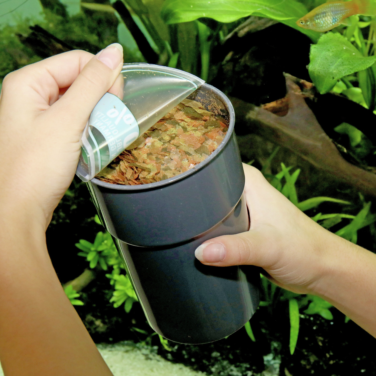 JBL NovoBel, Hauptfutter in Flockenform für Zierfische, 1L, für gesunde & farbenprächtige Fische, ideal für Aquarienbesitzer.