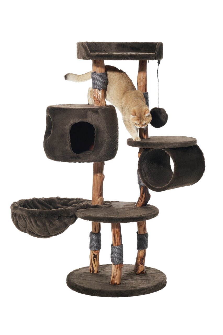 Nobby Kratzbaum, Katzen aller Größen, dunkles Plüsch, robuste Holzsäulen, Ebenen, Höhlen, Liegeflächen, ideal zum Spielen & Ruhen.