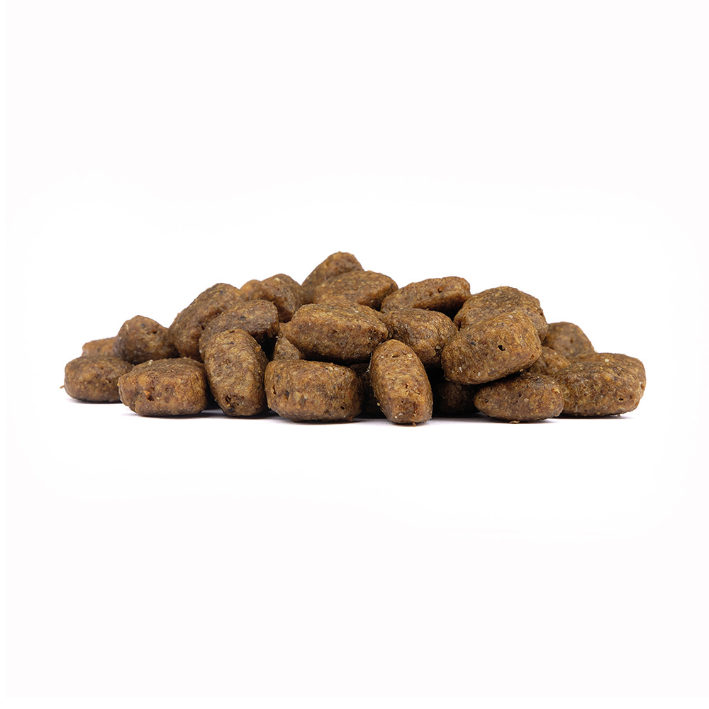Ein Haufen Wolfsblut Trockenfutter für Hunde, speziell entwickelt für ausgewachsene Hunde. Die Geschmacksrichtung ist Ente und Kartoffel, ideal für ernährungssensible Tiere. Die Kroketten sind mittelgroß und braun, perfekt für eine ausgewogene Ernährung. 