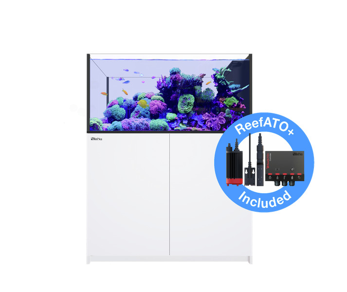 Das Bild zeigt das Red Sea Reefer G2+ Aquarium, ein hochwertiges Meerwasseraquarium für Aquaristik-Enthusiasten. Es ist mit lebhaften Korallen und Fischen dekoriert und wird mit dem ReefATO+ System geliefert, das eine automatische Nachfüllung des Wassers 