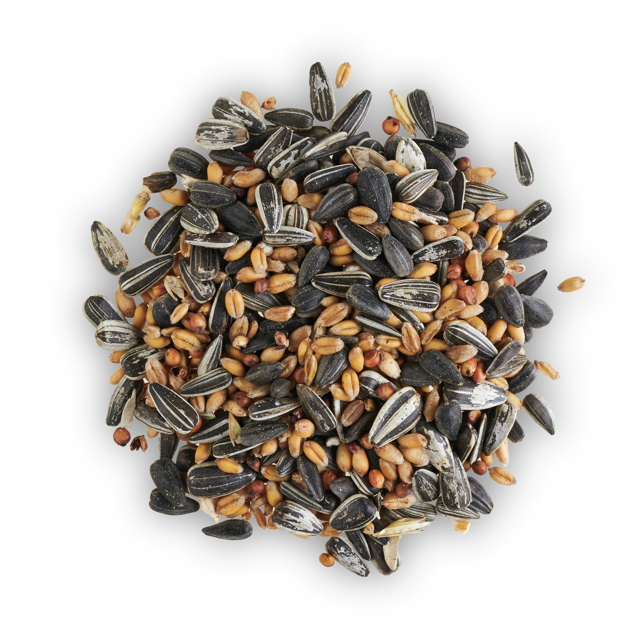 Lottis Piepmätze: Hochwertiges Vogelfutter für Wildvögel, mit Sonnenblumenkernen & Saaten. Ideal für ganzjährige Fütterung, 1kg.