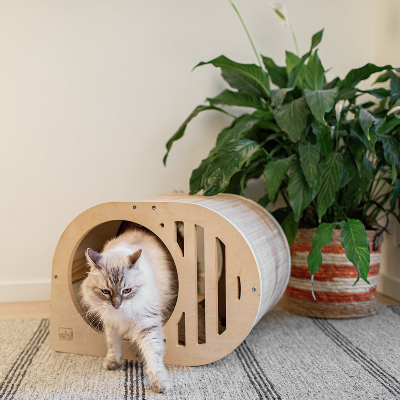 Katze verlässt eine moderne, runde EBI-Katzenhöhle aus Holz, die auf einem Teppich neben einer Zimmerpflanze steht.