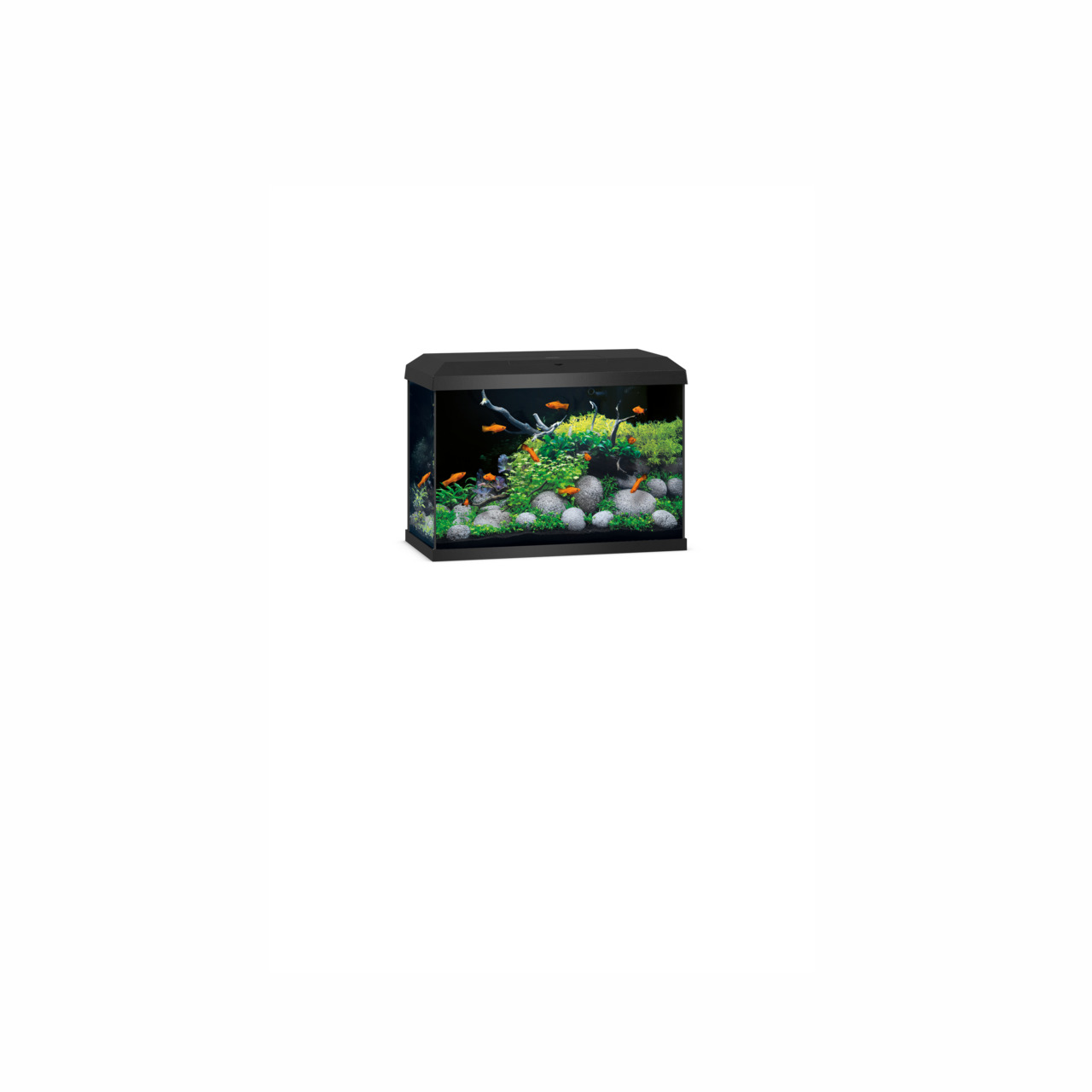 JUWEL Aquarium Primo 70 LED, für Süßwasserfische, 70 L, schwarz, LED-Beleuchtung, ideal für Einsteiger & erfahrene Aquarienliebhaber.