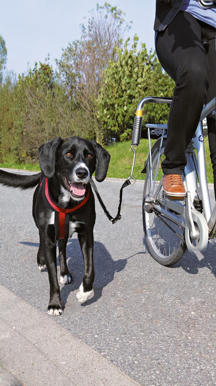 Trixie Biker-Set Hunde Fahrradzubehör S - M