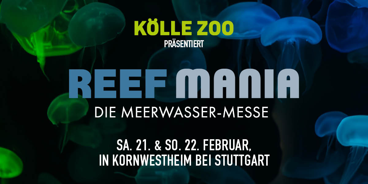Quallen vor einem schwarzen Hintergrund, Aufschrift informiert über Reef Mania, die Meerwasser-Messe in Stuttgart