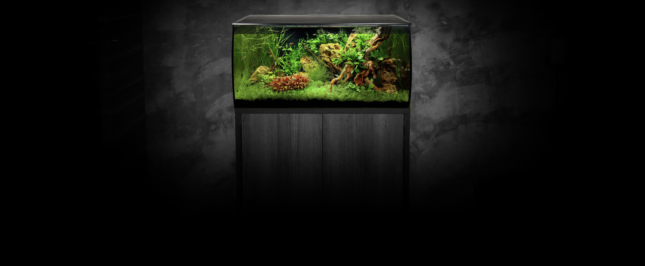 Fluval Flex Aquarium-Set, modernes Design, gebogene Front, für Süßwasserfische, inkl. Pflanzen-Deko, ideal für Aquaristik-Fans.