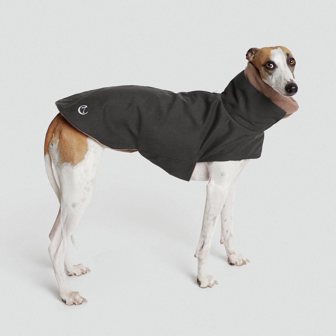 Windhund trägt Hundemantel "Cloud7 Brooklyn", schwarz, für kalte Tage, mittelgroße Hunde, Größe sichtbar.