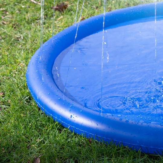 Holland Animal Care Wasserspielring für Hunde, spritzend, Abkühlung & Spaß an heißen Tagen, blau, rund, auf Rasenfläche.