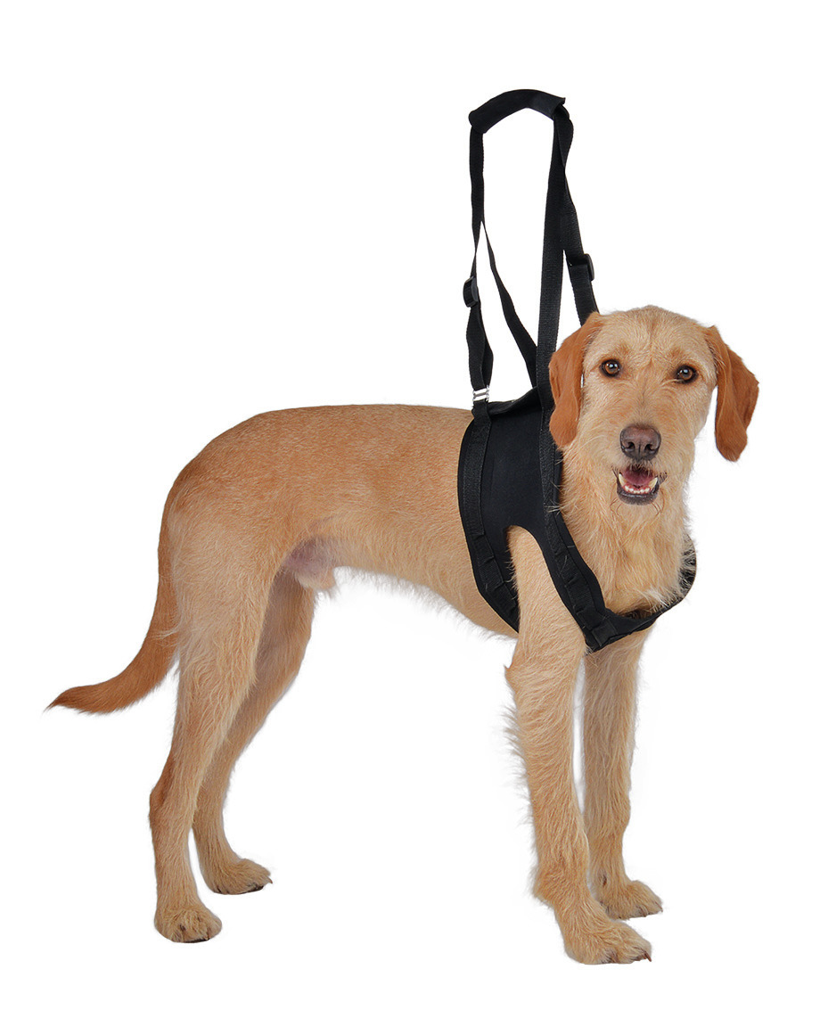 Vetlando Hebe- & Tragegeschirr, mittelgroße Hunde, ergonomisch, verstellbar, Mobilitätshilfe, schwarz.