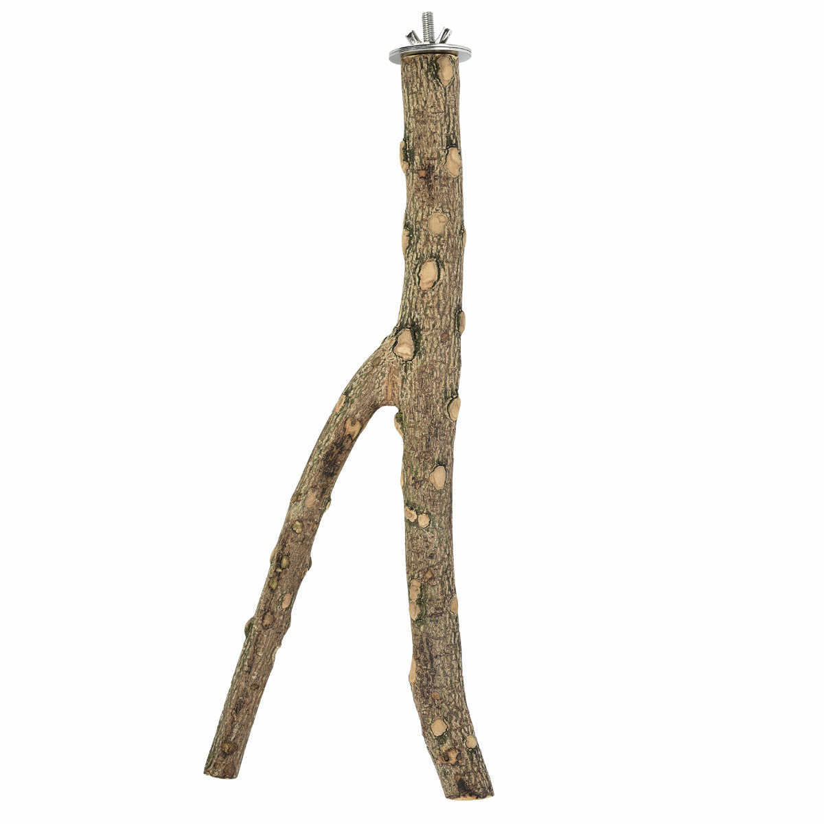 AK 4Pets Sitzast für Vögel, Holz natur, mit Metallhalterung, fördert Krallengesundheit, ideal für kleine-mittelgroße Vögel.