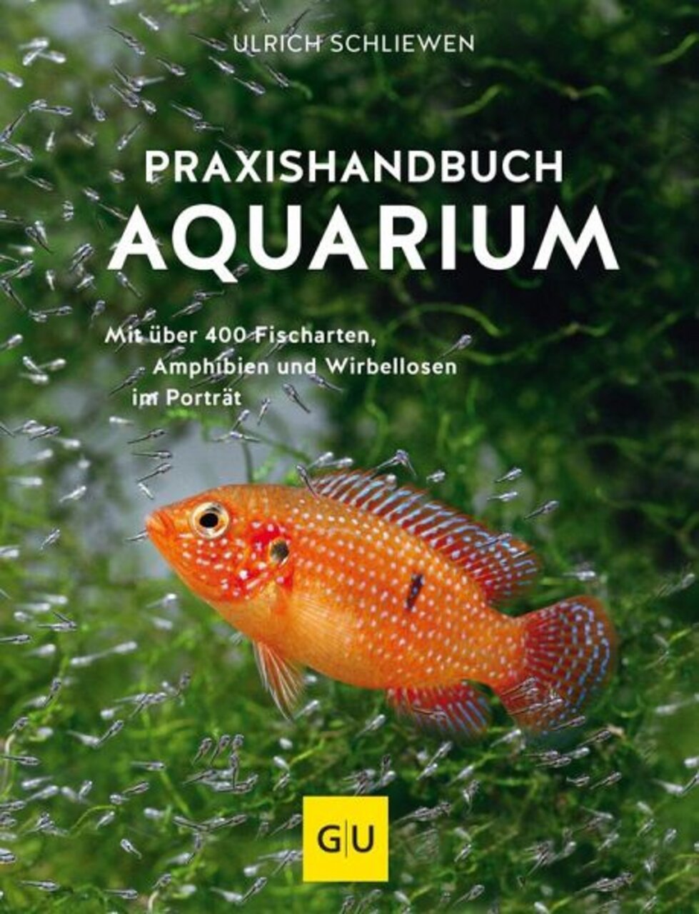 „Praxishandbuch Aquarium“ v. Ulrich Schliewen (GU Verlag): Infos zu 400+ Fischarten, Amphibien & Wirbellosen.