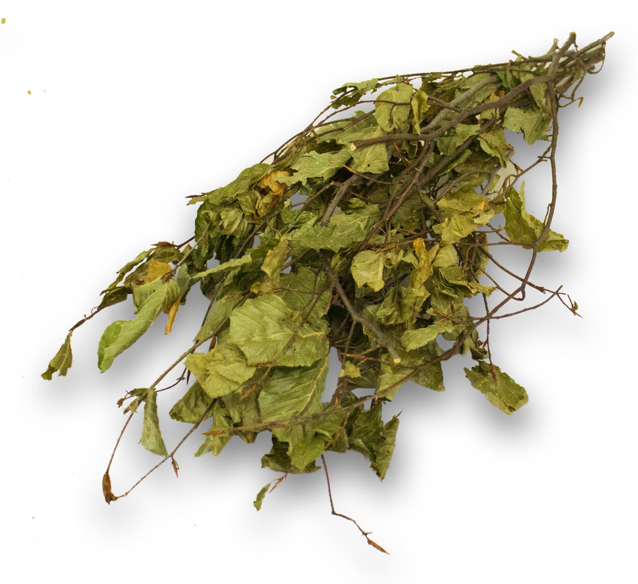 JR FARM Haselnusszweige, 50 g, für Kaninchen, Meerschweinchen & Nager, Snack & Beschäftigung, fördert Zahnabrieb, gesunde Ergänzung.