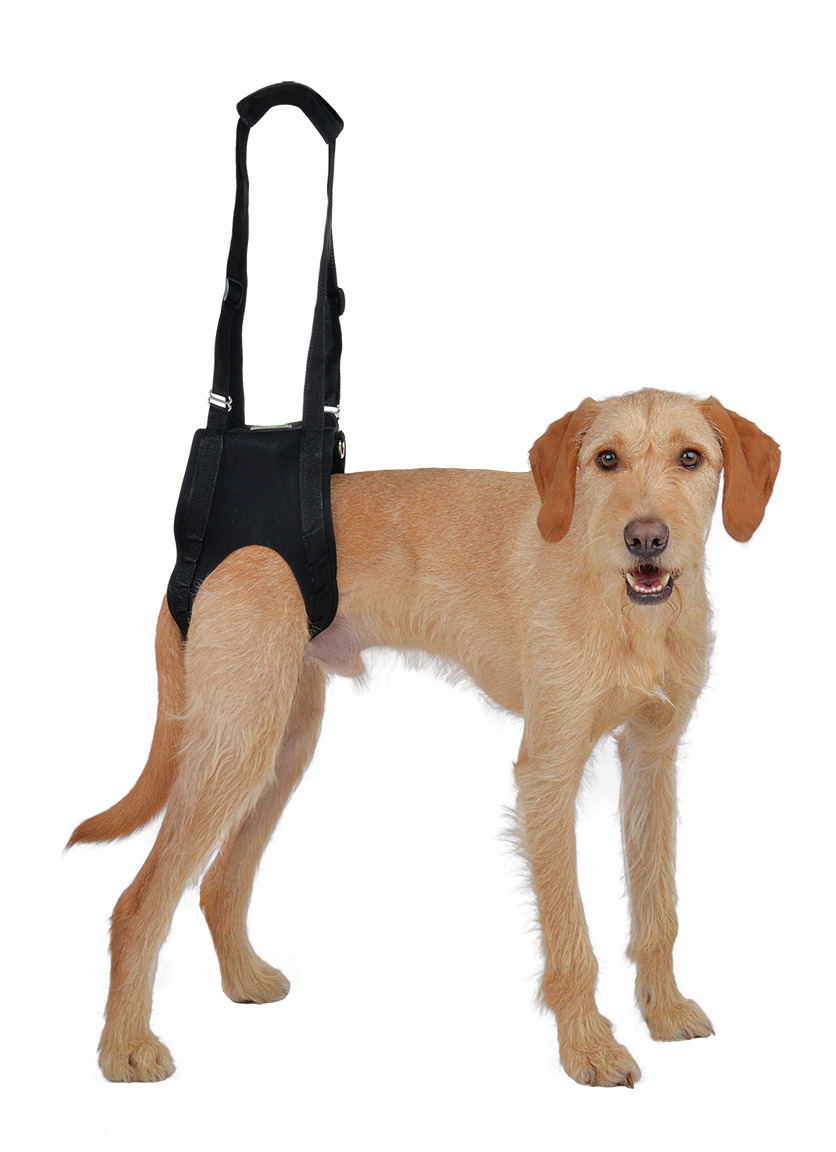 Vetlando Hundegeschirr, schwarz, für mittelgroße/große Hunde mit Mobilitätsproblemen, Hüftunterstützung, Griff, robustes Material.