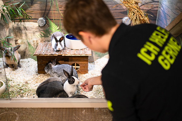 Aushilfe bei Kölle Zoo