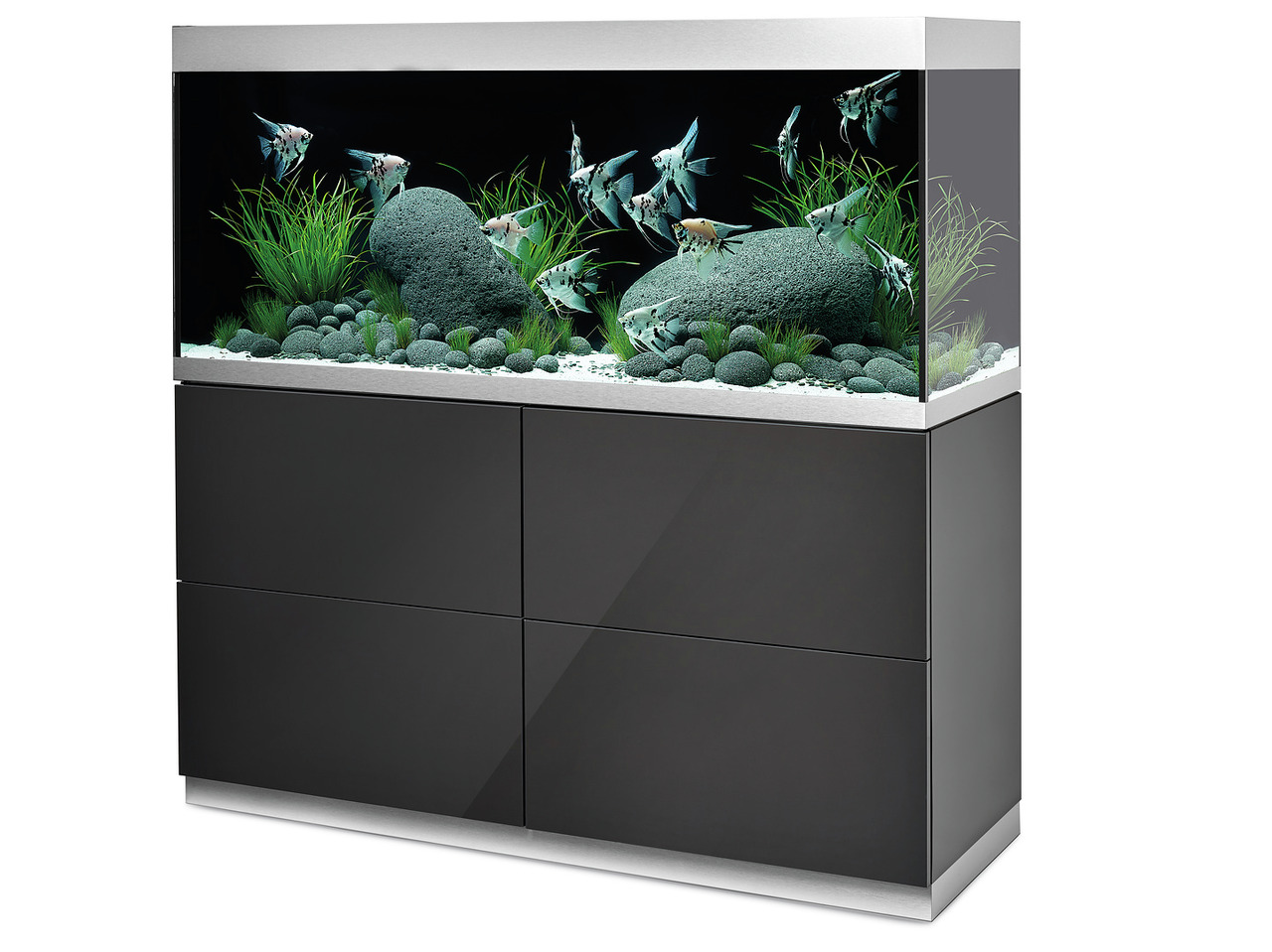 Oase HighLine 300 Aquarium, 300 L, mit schwarzem Unterschrank, für Aquaristik-Fans, inkl. Pflanzen, Steinen & Skalaren.