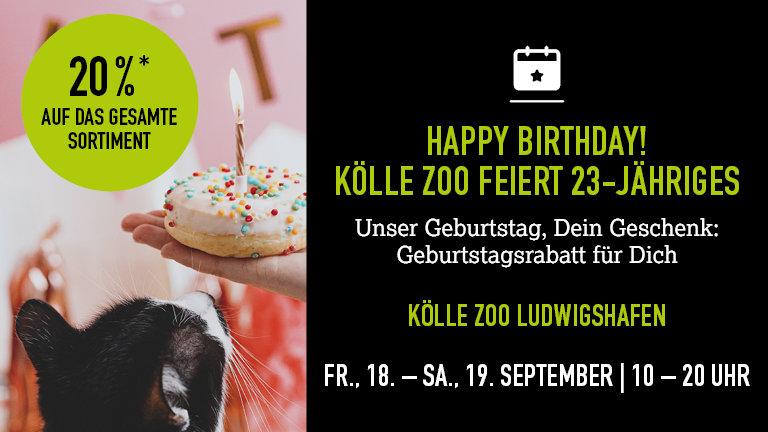 18+190926 Geburtstag Ludwigshafen Mobile 768x432px