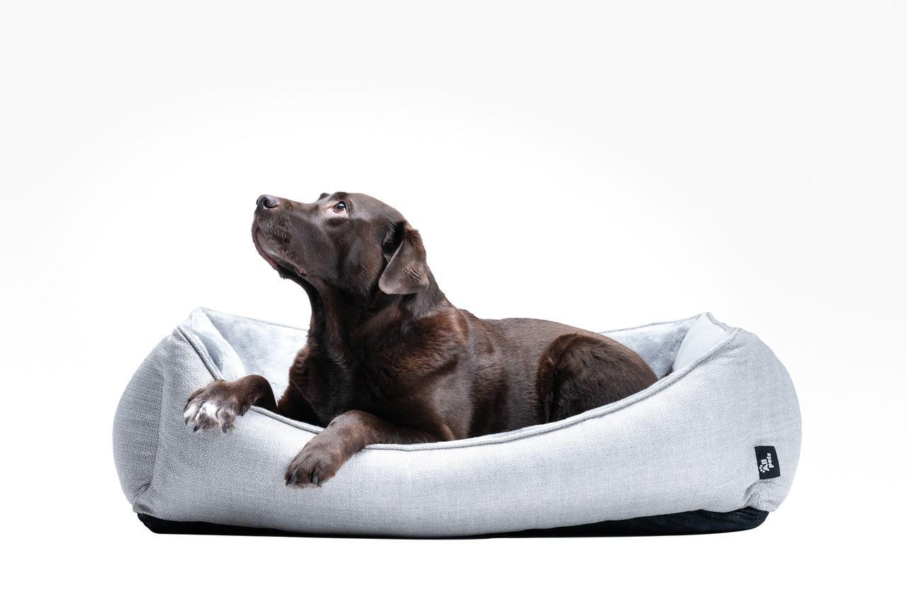 Allpets Hundebett, hellgrau, weich gepolstert, für mittelgroße/große Hunde, optimaler Komfort, stilvoll, bequem.