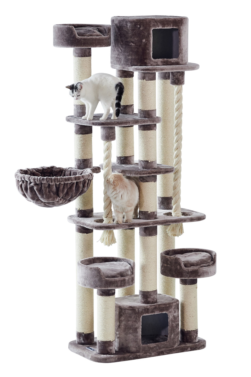 Kratzbaum "Nobby Classic Edition" für Hauskatzen, Braun-Beige, mit Höhle, Ebenen, Sisalstämmen & Plüsch, aktiv genutzt von 2 Katzen.