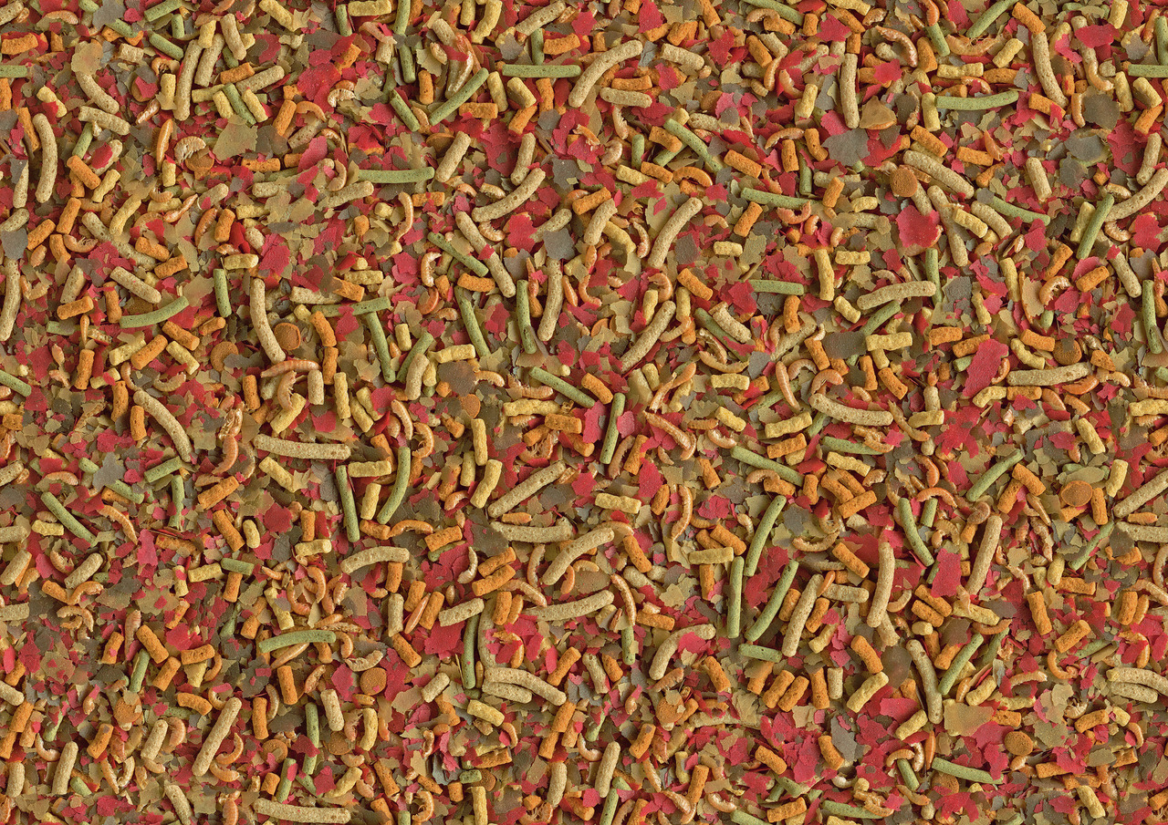 Das Bild zeigt das Fischfutter „TetraMin Hauptfutter“ der Marke Tetra, erkennbar an der Mischung aus bunten Flocken und Sticks in Rot, Grün, Gelb und Orange. Es ist für alle Zierfische geeignet und bietet eine ausgewogene Ernährung. Die Verpackungsmenge i