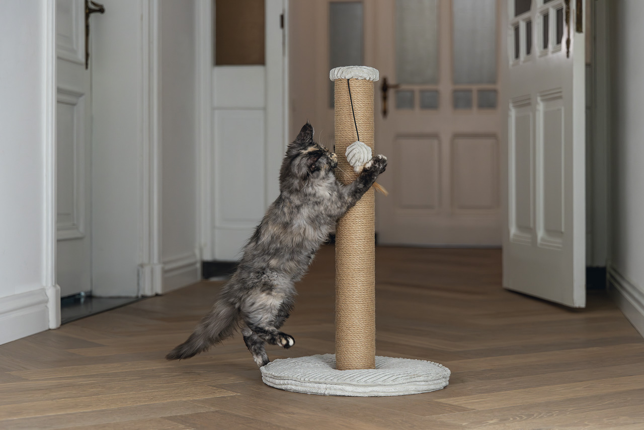 Kratzbaum „Designed by Lotte“ für Katzen, Sisal-Stamm, Spielzeug aus Seil, runde Basis, ideal für alle Altersgruppen.