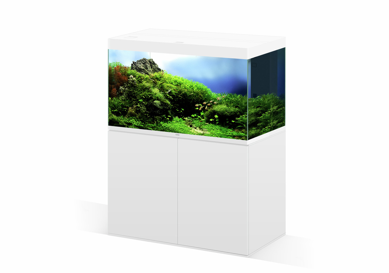 Ciano Aquarium Emotions Pro 120, 243 L, mit weißem Unterschrank, für Aquaristik-Fans, ideal für Süßwasserfische, Pflanzen & Felsen.