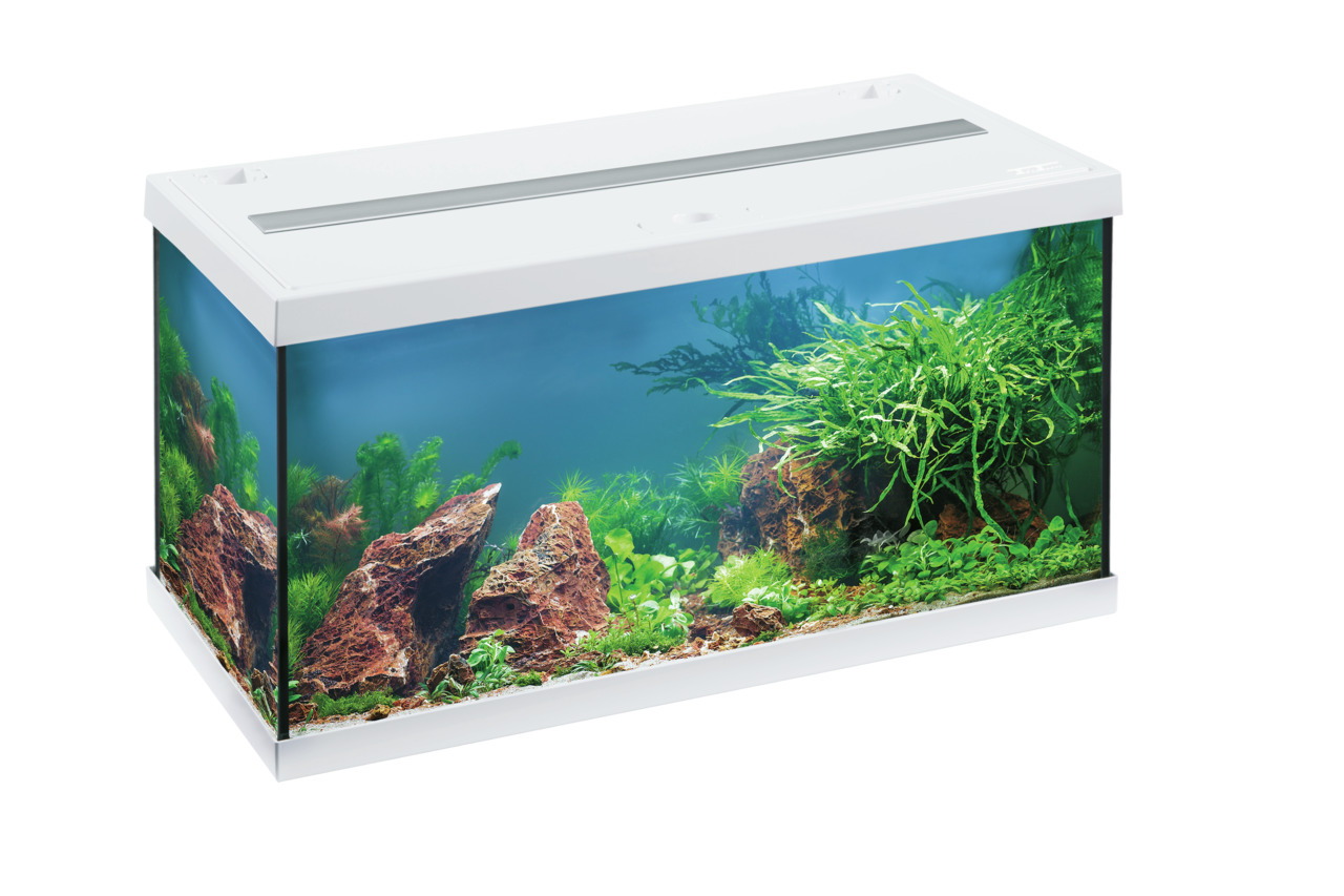 Eheim Aquastar 54 LED Aquarium Set weiß
