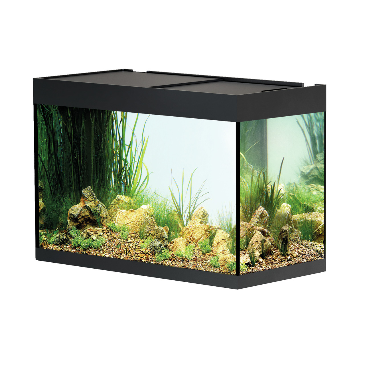 Oase StyleLine Aquarium 85, für Süßwasserfische, 85 L, stilvolles Design, inkl. Steine, Pflanzen & Kies, ideal für Anfänger & Profis.