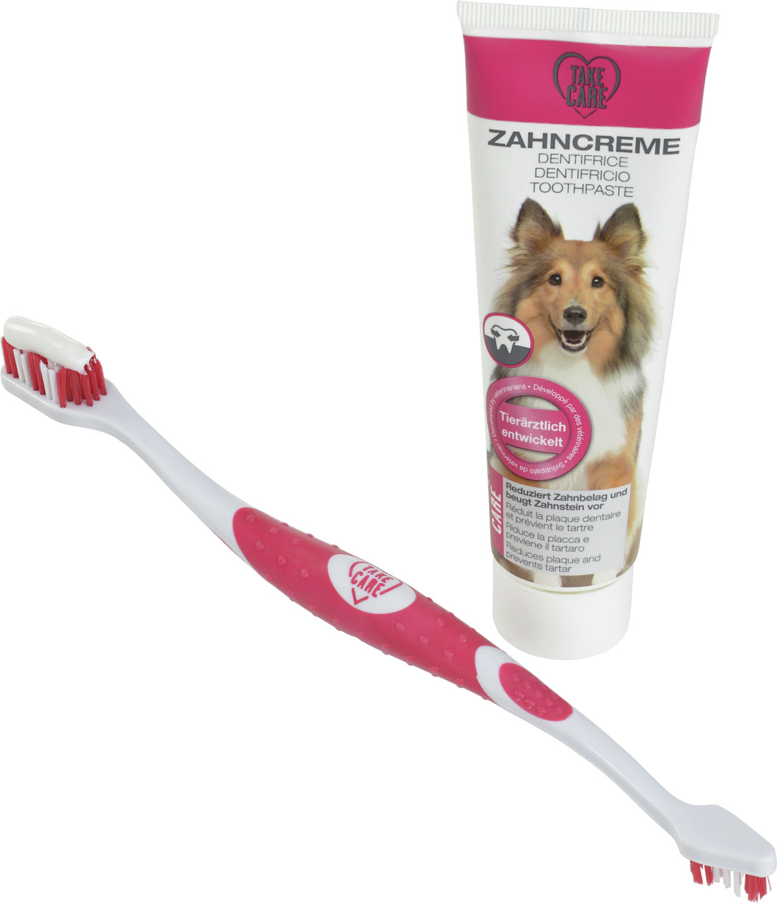 Take Care Zahnpflegeset für Hunde: Zahnbürste + Zahnpasta (tierärztl. entwickelt, gegen Zahnbelag/Zahnstein), Hundemotiv, rot/weiß.